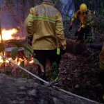 Equipes auxiliaram no combate ao fogo – Foto: Corpo de Bombeiros/Divulgação/ND