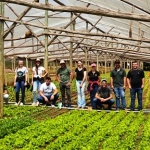 Na empresa “Valter Verduras” os acadêmicos observaram o cultivo convencional de verduras no solo, sem uso de agrotóxicos / Foto: Divulgação Unoesc