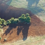 Imagem: Polícia Militar Ambiental