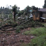 Foto: Defesa Civil/ Divulgação 