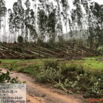 Foto: Defesa Civil/ Divulgação 