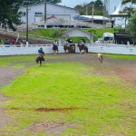 Foto: Marcos de Lima / WH Comunicações