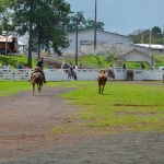 Foto: Marcos de Lima / WH Comunicações