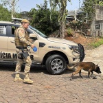 Foto: Marcos de Lima / WH Comunicações