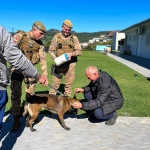 Foto: Polícia Militar / Divulgação 