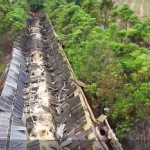 Estrutura de aviário foi totalmente danificada (Fotos: Divulgação)