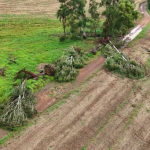 Microexplosão causou estragos no interior de Abelardo Luz (Foto: Defesa Civil, Divulgação)