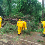 Várias árvores caíram na rodovia e bloquearam o trânsito (Fotos: Corpo de Bombeiros)