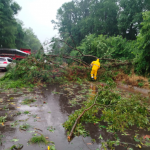 Várias árvores caíram na rodovia e bloquearam o trânsito (Fotos: Corpo de Bombeiros)