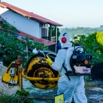 Foto: Marcos de Lima / WH Comunicações