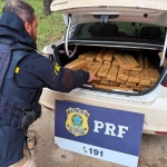 Foto: PRF / Divulgação