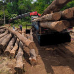 Foto: Divulgação/Corpo de Bombeiros Militar de Cunha Porã