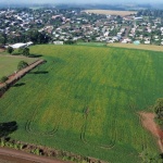 Foto: Ascom/Prefeitura