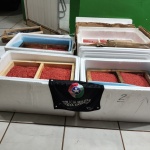 Foto: PM