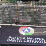 Foto: Divulgação/CPMRv