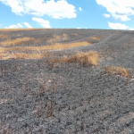 Foto: Divulgação/Corpo de Bombeiros Militar de Maravilha