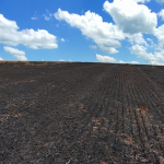 Foto: Divulgação/Corpo de Bombeiros Militar de Maravilha