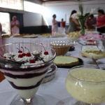 Tamara Finardi/ O Líder/ WH Comunicações