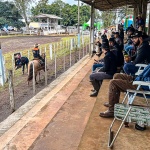 Foto: Marcos de Lima / WH Comunicações