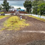 Foto: Marcos de Lima / WH Comunicações