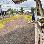 Foto: Marcos de Lima / WH Comunicações