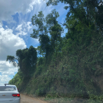 Tamara Finardi/ WH Comunicações/ Líder