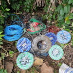 Foto: Divulgação/Delegacia de Polícia da Comarca de Maravilha