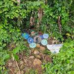 Foto: Divulgação/Delegacia de Polícia da Comarca de Maravilha