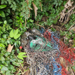 Foto: Divulgação/Delegacia de Polícia da Comarca de Maravilha