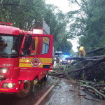 Foto: Corpo de Bombeiros Militar de Maravilha