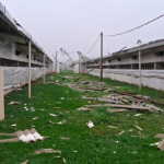 Foto: Defesa Civil de Caibi, Reprodução) 