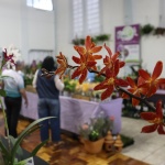Foto: Tamara Finardi/ O Líder/ WH Comunicações