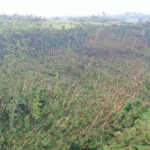 Tornado foi confirmado no município de Palmitos na sexta-feira (9) – Foto: Prefeitura de Palmitos/