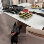 Foto: PC / Divulgação 