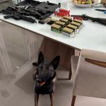 Foto: PC / Divulgação 