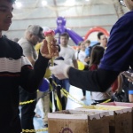 Foto: Tamara Finardi/ O Líder/ WH Comunicações