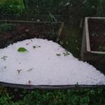 Em Passos Maia foi registrada grande queda de granizo (Fotos: Defesa Civil)