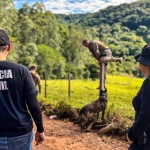 Foto: Marcos de Lima / WH Comunicações