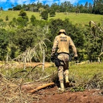 Foto: Marcos de Lima / WH Comunicações