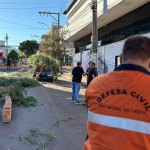 Foto: Marcos de Lima / WH Comunicações