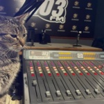 Gato ‘mal-humorado’ vira mascote e aparece até ao vivo em rádio de SC – Foto: Adriano Antunes