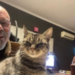 Gato ‘mal-humorado’ vira mascote e aparece até ao vivo em rádio de SC – Foto: Adriano Antunes