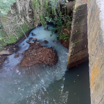 Foto: Celso Antônio Ledur