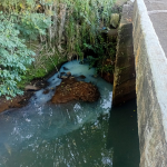 Foto: Celso Antônio Ledur