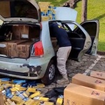 Foto: PRF / Divulgação