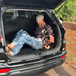 Foto: Divulgação/DIC de Maravilha