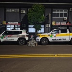 Foto: PMRv / Divulgação