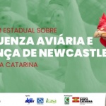 Arte:Ascom/Cidasc