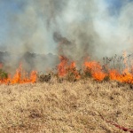 Foto: Marcos de Lima / WH Comunicações 