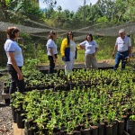 Viveiro do Lions Clube Maravilha Oeste (Foto: Divulgação)